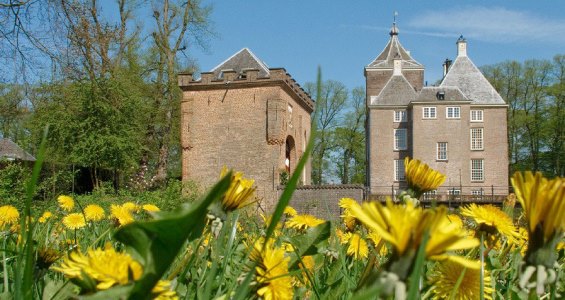 Schitterende plaatjes en plaatsjes rondom BnB bij ons op Zolder in Zoelen